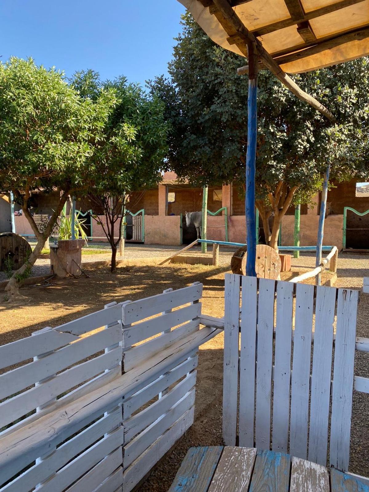 Les Cavaliers Chez Yassine Vila Marraquexe Exterior foto